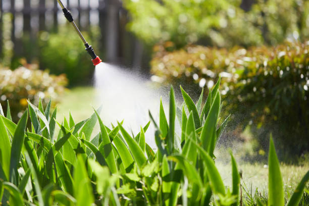 Tamper-Resistant Bait Stations for Rodents in Diboll