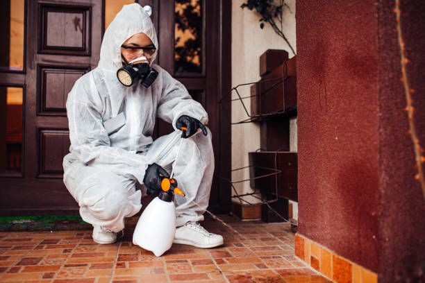 Attic and Crawl Space Rodent Treatment in Diboll