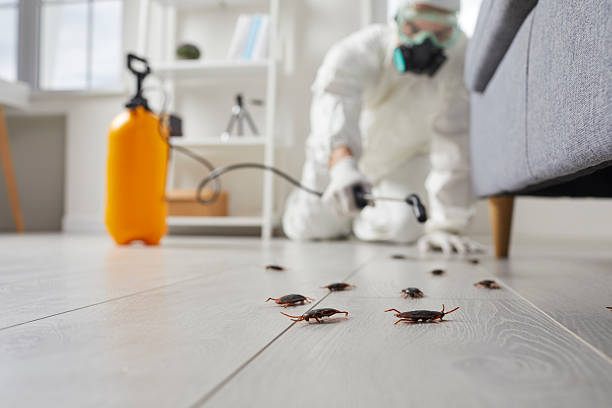Commercial Rodent Management in Diboll
